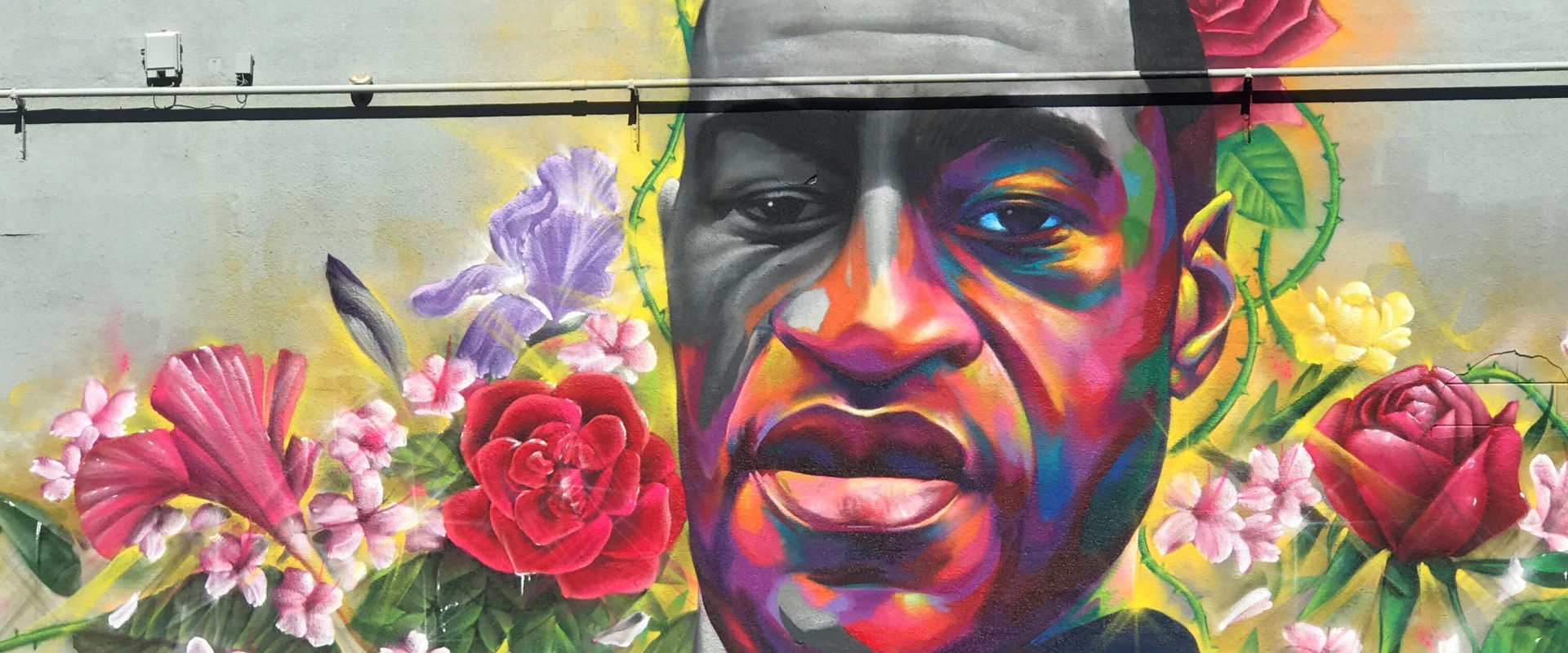 How has the presence of murals and graffiti impacted local culture in harris county?