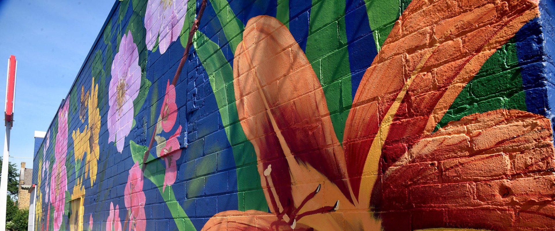 Grants and Funding for Murals and Graffiti in Harris County